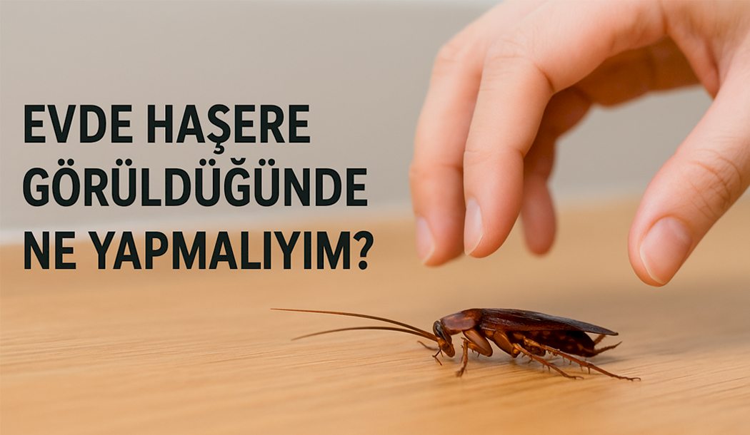 haşere kontrolü, böcek ilaçlama, fare ilaçlama, endüstriyel haşere mücadelesi, çevre sağlığı hizmetleri, hijyen kontrolü, pest kontrol, dezenfeksiyon, uzman çevre, ilaçlama firması
