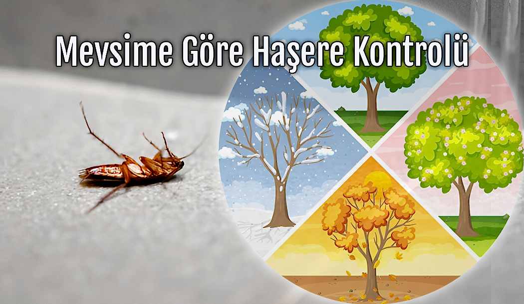 haşere kontrolü, böcek ilaçlama, fare ilaçlama, endüstriyel haşere mücadelesi, çevre sağlığı hizmetleri, hijyen kontrolü, pest kontrol, dezenfeksiyon, uzman çevre, ilaçlama firması
